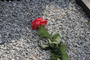 /pliki/zdjecia/sm 3_0.jpg